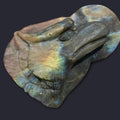 Natural Labradorite Eagle head crystal carving